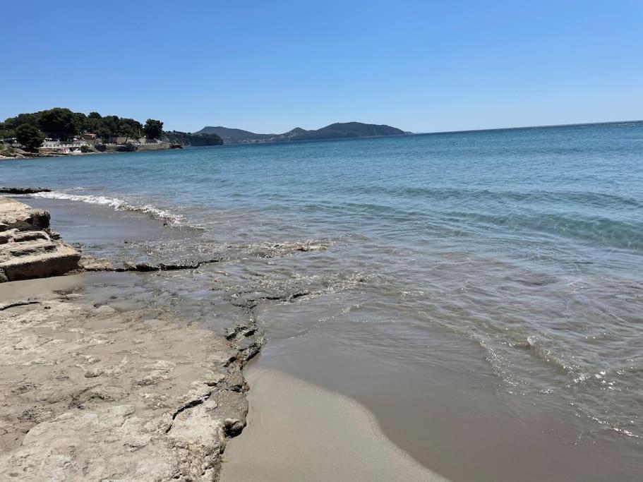 Appartement Cocon Les Pieds Dans L'eau Acces Direct A La