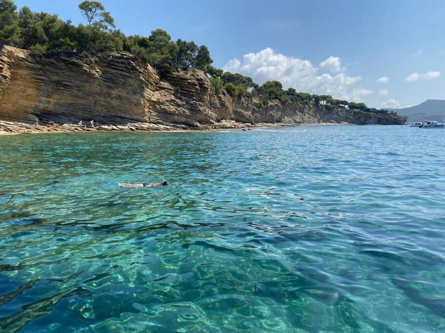 Apartment Cocon Les Pieds Dans L'eau Acces Direct A La La Ciotat