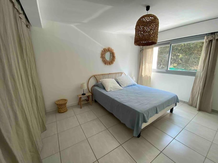 Apartment Cocon Les Pieds Dans L'eau Acces Direct A La
