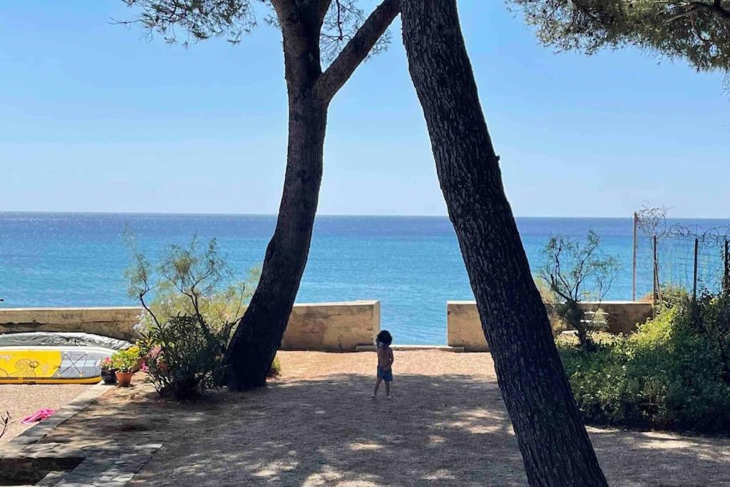 Apartment Cocon Les Pieds Dans L'eau Acces Direct A La *
